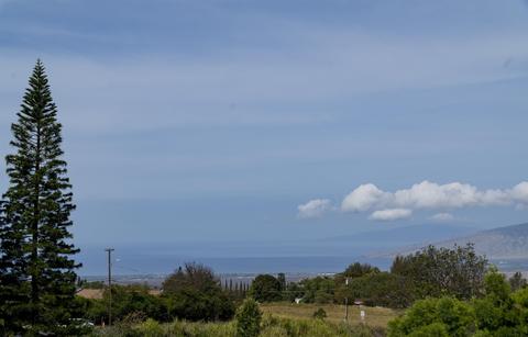 2936 Lower Kula Rd, Kula, HI 96790 photo 28