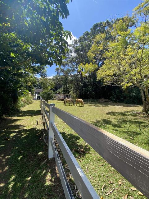 592 Kaupakalua Rd, Haiku, HI 96708 photo 20