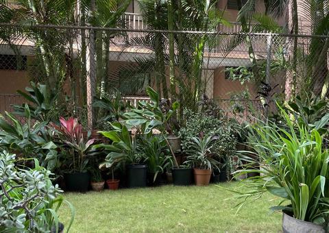 3676 Lower Honoapiilani Rd #E102, Lahaina, HI 96761 photo 10