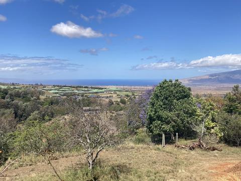 202 Makoi Pl, Pukalani, HI 96768