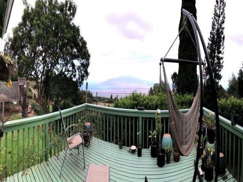 246 Koheo Rd, Kula, HI 96790 photo 24
