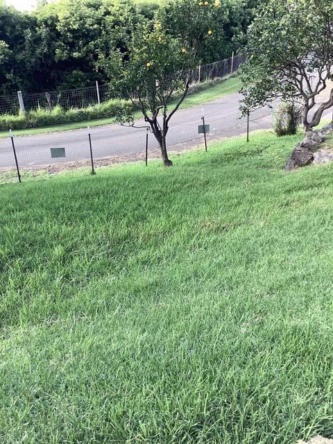246 Koheo Rd, Kula, HI 96790 photo 13