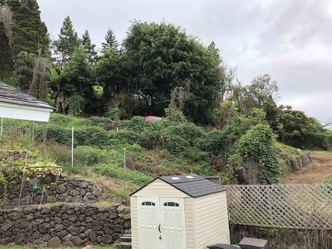 246 Koheo Rd, Kula, HI 96790 photo 11