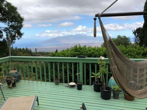 246 Koheo Rd, Kula, HI 96790 photo 23