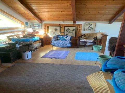 246 Koheo Rd, Kula, HI 96790 photo 5