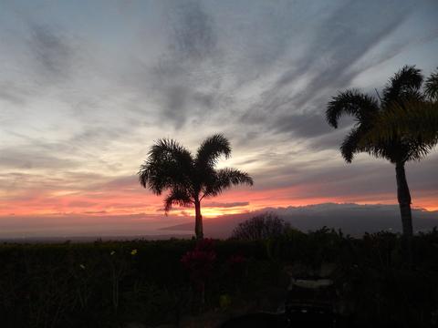 107 Ka Dr, Kula, HI 96790 photo 25