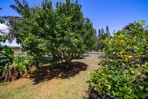 2710 Lia Pl, Haiku, HI 96708 photo 25