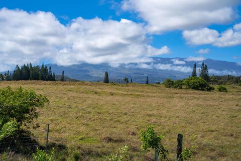 2710 Lia Pl, Haiku, HI 96708 photo 20