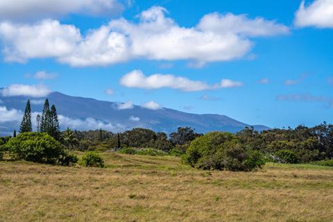 2710 Lia Pl, Haiku, HI 96708 photo 8