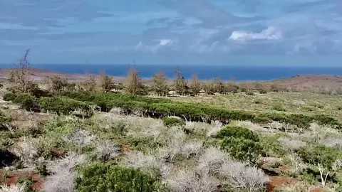 0 Kalua Koi Rd #47, Maunaloa, HI 96770