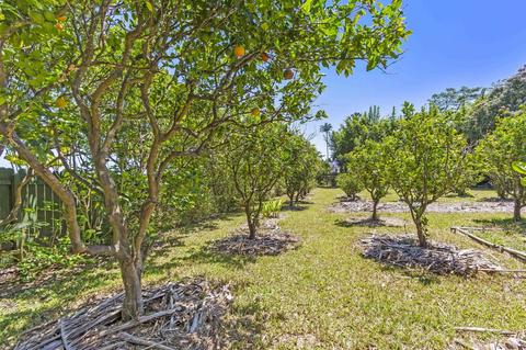 455 Kukuna Rd, Haiku, HI 96708 photo 25