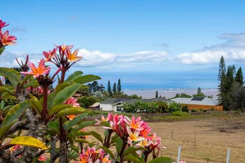 285 Mauna Pl, Kula, HI 96790 photo 1