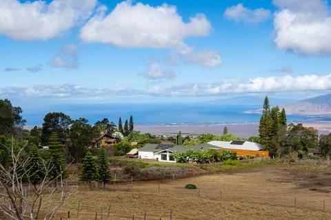 285 Mauna Pl, Kula, HI 96790 photo 20