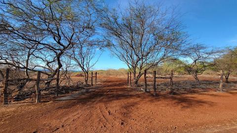4040 Pohakuloa Rd #LOT 231, Maunaloa, HI 96770