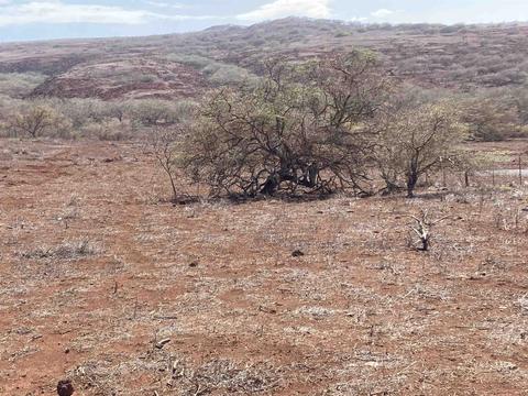 Pa Loa Loop, Maunaloa, HI 96770