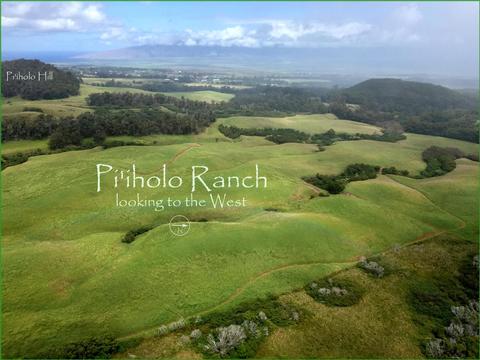 325 Waiahiwi Rd, Makawao, HI 96768