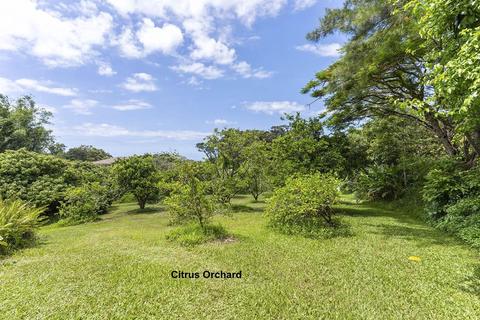 88 Kamalii Pl, Haiku, HI 96708 photo 23