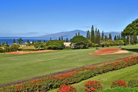 50 Puu Anoano St #3104, Lahaina, HI 96761