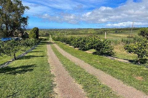 1990 Omaopio Rd, Kula, HI 96790