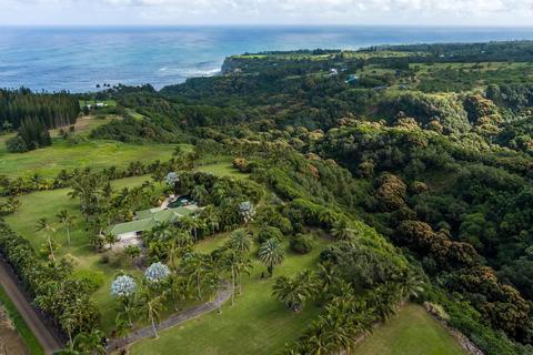 110 Mehana Rd, Haiku, HI 96708 photo 28