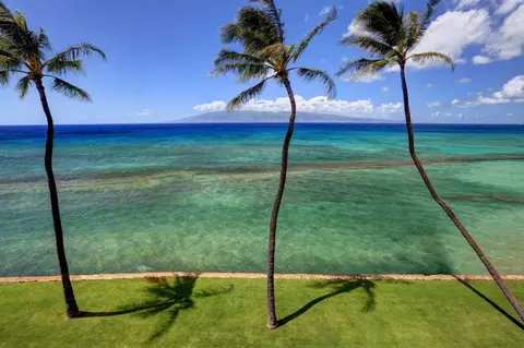 3543 Lower Honoapiilani Rd #F403 24AB, Lahaina, HI 96761