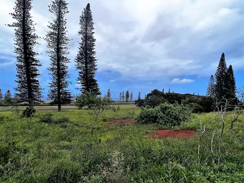 mahiki pl, Maunaloa, HI 96770