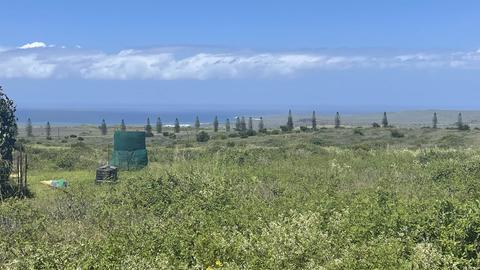 Kaana St, Maunaloa, HI 96770