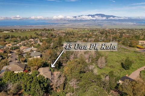 45 Uau Pl, Kula, HI 96790 photo 29