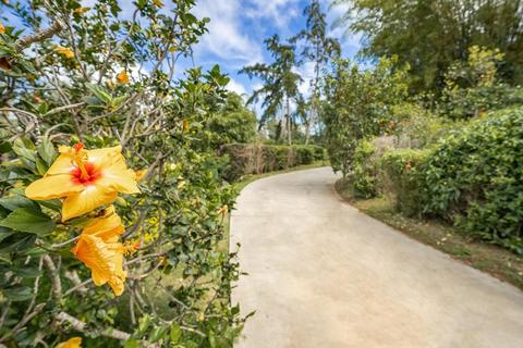 45 Uau Pl, Kula, HI 96790 photo 24