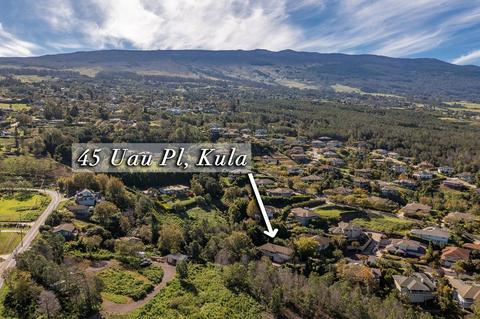 45 Uau Pl, Kula, HI 96790 photo 28