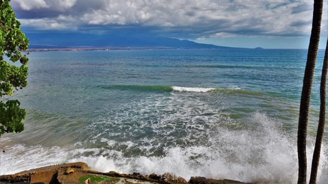 250 Hauoli St #202, Wailuku, HI 96793