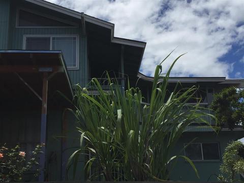 70 Pualu Loop, Lahaina, HI 96761 photo 27