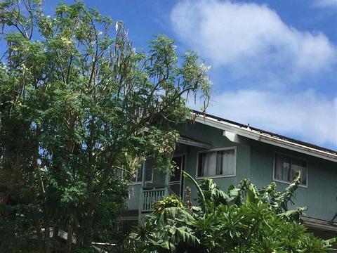 70 Pualu Loop, Lahaina, HI 96761 photo 19