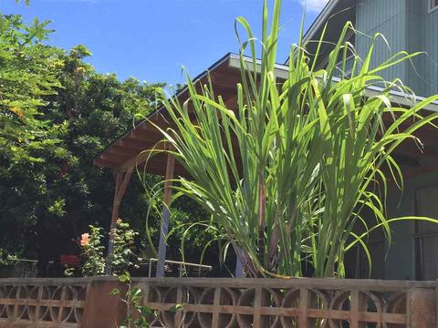 70 Pualu Loop, Lahaina, HI 96761 photo 23
