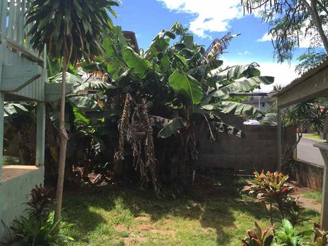 70 Pualu Loop, Lahaina, HI 96761 photo 11