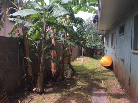 70 Pualu Loop, Lahaina, HI 96761 photo 6