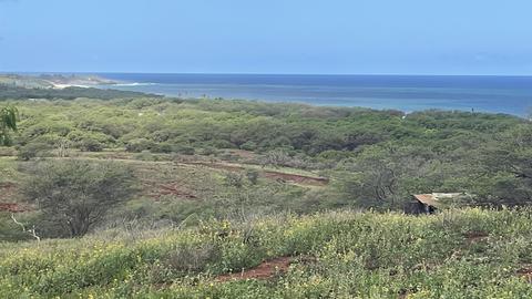 0 Awawa Rd, Maunaloa, HI 96770