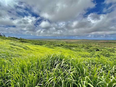 0 Kalua Koi Rd #56, Maunaloa, HI 96770