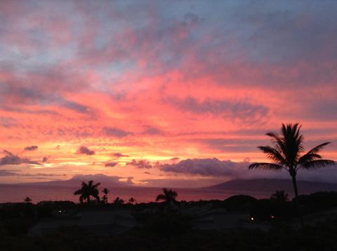 10 Wailea Ekolu Pl #1306, Kihei, HI 96753