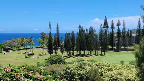 100 Ridge Rd #724, Lahaina, HI 96761