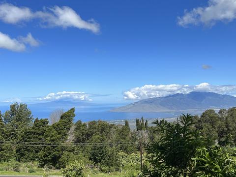 37 Middle Rd #2, Kula, HI 96790