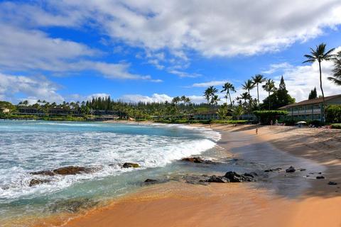 5315 Lower Honoapiilani Rd #A102, Lahaina, HI 96761