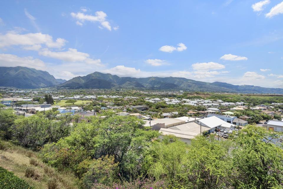  493 Pio Dr #307, Wailuku, HI 96793 photo 18