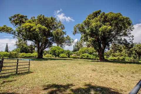 795 E Kuiaha Rd, Haiku, HI 96708 photo 43