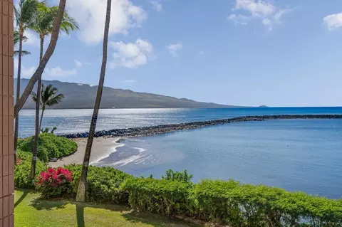 30 Hauoli St #209, Wailuku, HI 96793