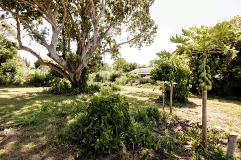 1706 Haiku Rd #B, Haiku, HI 96708