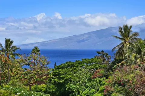 50 Puu Anoano St #201, Lahaina, HI 96761