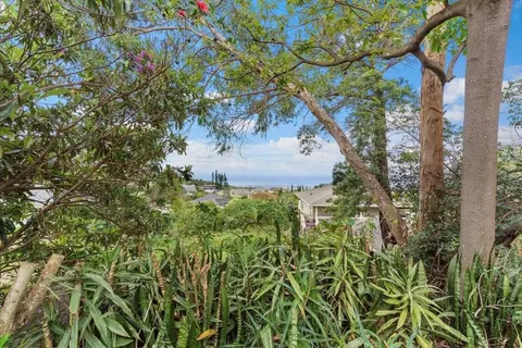 1524 Lower Kimo Dr, Kula, HI 96790 photo 31