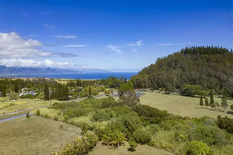 45 Kapii Pl, Haiku, HI 96708 photo 39