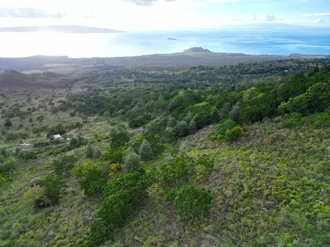 0 Ulupalakua Rd, Kula, HI 96790